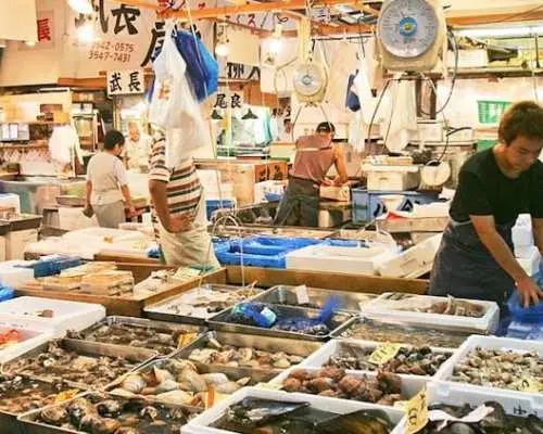 Tokyo Audio Guide with TravelMate App