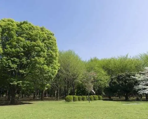 Tokyo Audio Guide with TravelMate App
