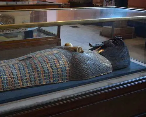 Cairo: Egyptian Museum, Citadel, and Old Cairo Guided Tour｜Egypt