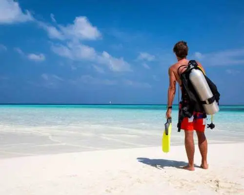 Hurghada: 1 day DIVING Refrechment, Check Dives and Dolphins｜Egypt