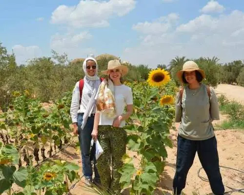 Cairo: Having Breakfast At Green Farm｜Egypt