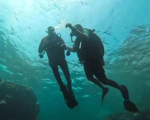 Jeddah: Red sea shore diving (Discovery)｜Saudi Arabia