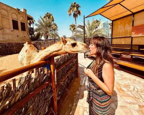 Walking tour of Historical Dubai with french guide｜United Arab Emirates