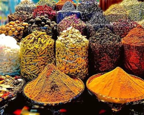 Walking Tour in Old Dubai Explor Heritage & Traditional Souq｜United Arab Emirates
