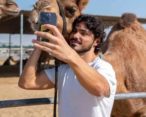 Dubai: Guided Camel Farm Tour+Camel Milk Tasting-Camelicious｜United Arab Emirates