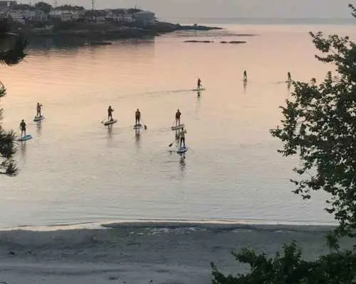 ビクトリア：日の出または日没SUPツアー｜カナダ
