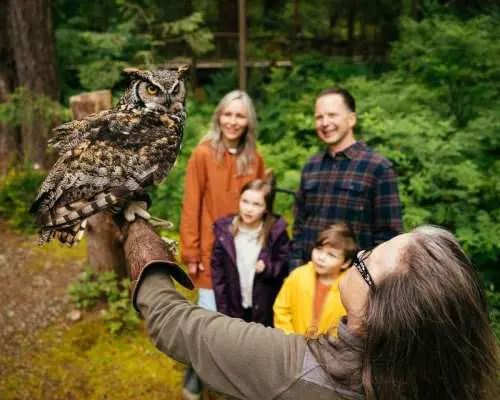Vancouver: Capilano & City Highlights | Tickets Included｜Canada