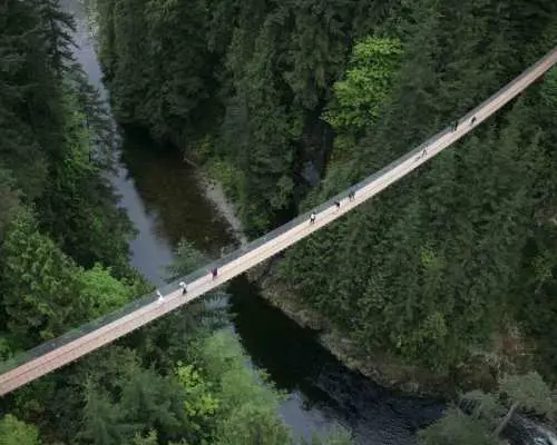 Vancouver: Capilano & City Highlights | Tickets Included｜Canada