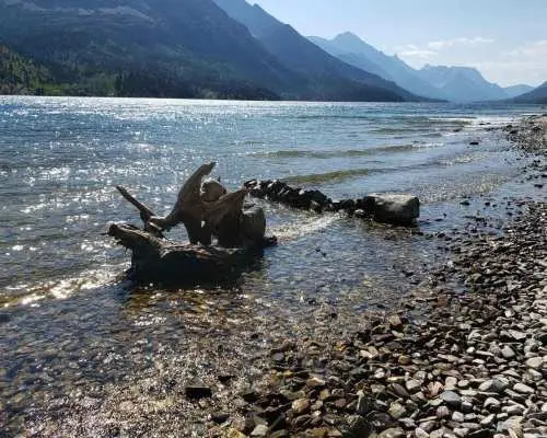 Waterton National Park Full-Day Private Tour From Calgary｜Canada