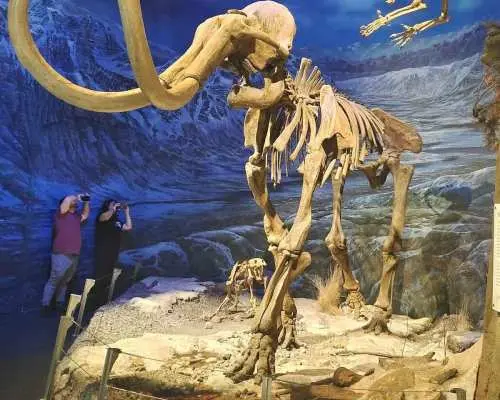 德拉姆黑勒博物館之旅（含門票）、石柱群與恐龍｜加拿大