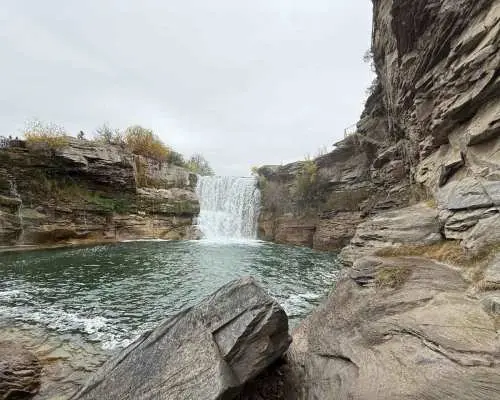 Calgary: Waterton Lakes National Park Guided Day Tour｜Canada