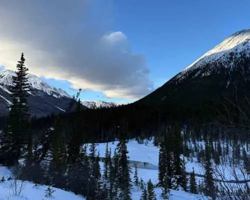 Canmore/Banff Snowshoeing Adventure Including Transportation｜Canada