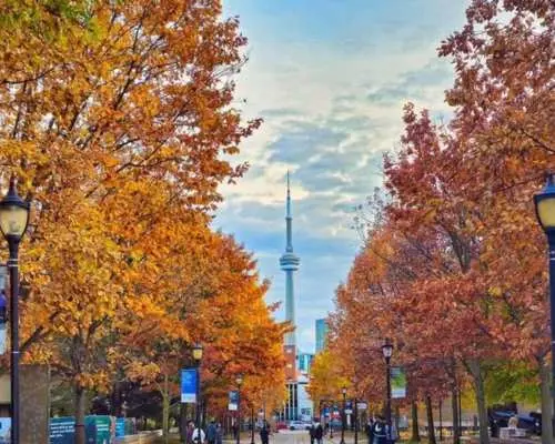 Toronto – Private 2-Hour Photoshoot with a Pro Photographer｜Canada