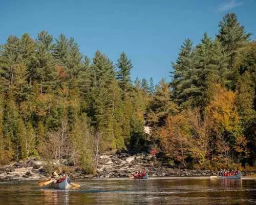 Toronto: Algonquin Park and Ragged Falls Day Trip｜Canada