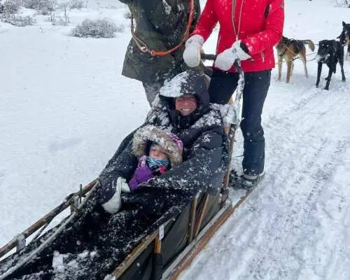 Mont-Tremblant: Guided Dogsledding Tour with Hot Chocolate｜Canada