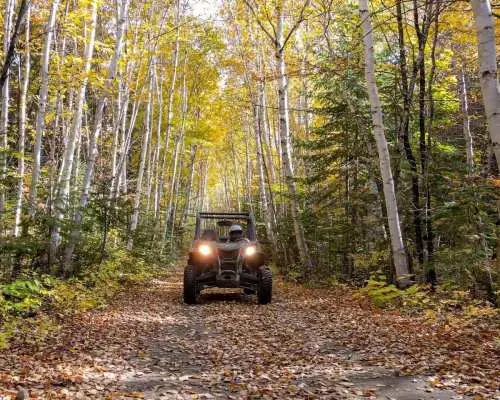 Laurentians: guided buggy tour｜Canada