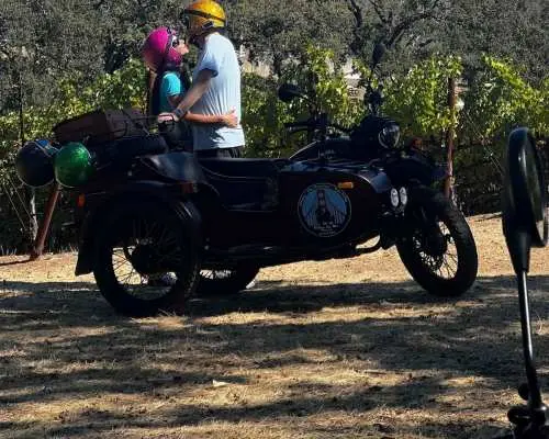 Napa Valley: Napa Valley Guided Sidecar Tour with 3 Wineries｜United States