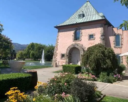 From San Francisco: Private Muir Woods and Napa Wine Tour｜United States
