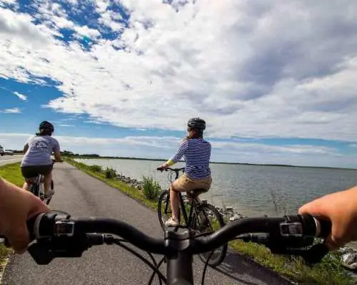 San Francisco: 1 Day Self Guided Bike Rental｜United States