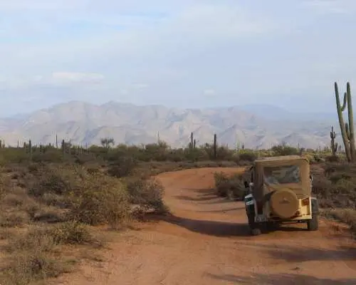 From Scottsdale: Sonoran Desert & Tonto National Forest Trip｜United States