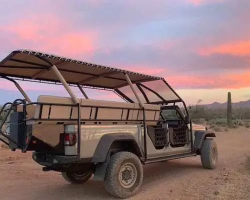 Sonoran Desert: Sunset Jeep Tour with Tonto National Forest｜United States