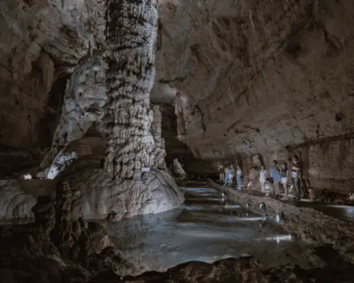 San Antonio: Discovery Tour at Natural Bridge Caverns｜United States