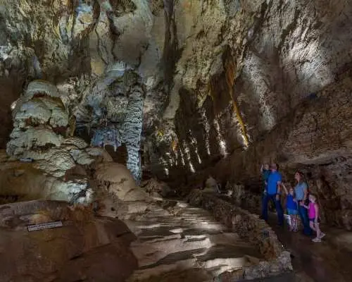 San Antonio: Discovery Tour at Natural Bridge Caverns｜United States