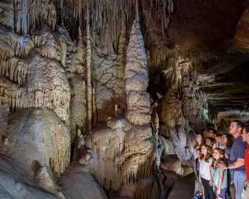 San Antonio: Natural Bridge Caverns Hidden Wonders Tour｜United States