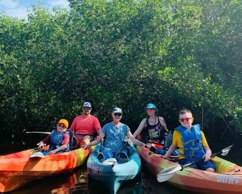Sarasota: Mangrove and Midnight Pass Beach Tour-Siesta Key｜United States
