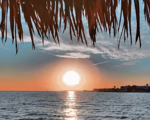 Florida Keys: 1.5-Hour Tiki Fun Cruise｜United States