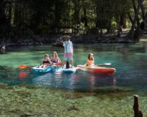 Suối Cypress: Chuyến phiêu lưu bằng thuyền kayak, ca nô hoặc ván chèo | Hoa Kỳ