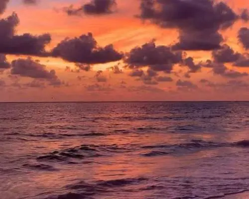 Sarasota: Siesta Key Electric Bike Sunset Tour｜United States