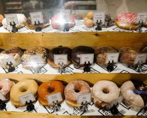 Cambridge: Discover Harvard Square’s Most Delicious Donuts｜United States