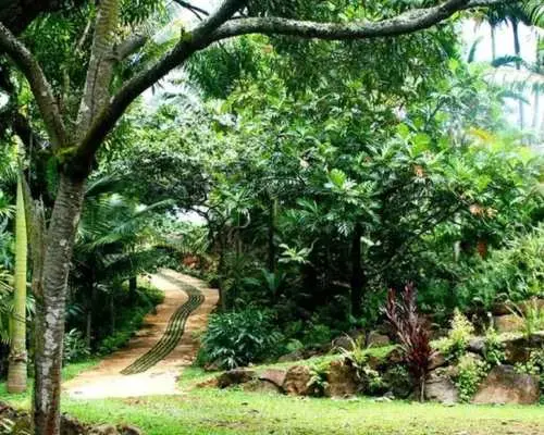 Princeville: Guided Botanical Gardens and Chocolate Tour｜United States
