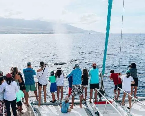 Maui: Ka'anapali Sunrise Coffee Sail with Pastries｜United States