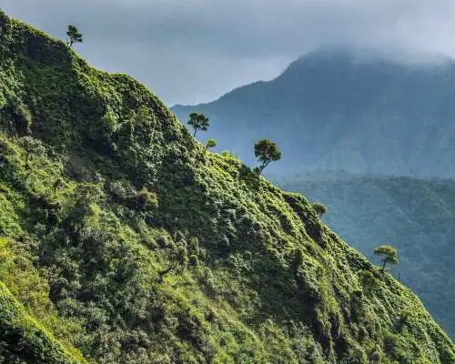 From Princeville: Discover Kauai Helicopter Tour｜United States
