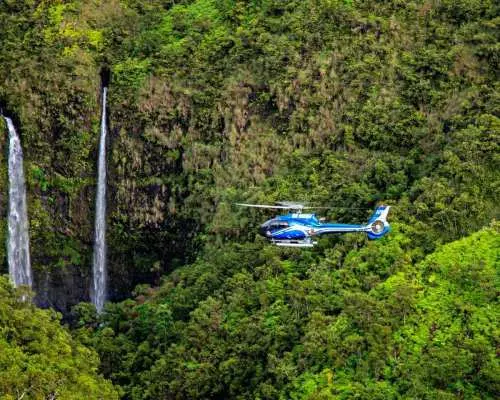 考艾島：生態探險直升機之旅｜美國