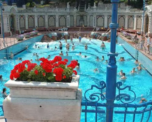 布達佩斯蓋勒特溫泉浴場戶外泳池，前方鮮豔的紅色花卉與藍色欄杆點綴，後方遊客歡樂戲水，充滿度假氛圍。