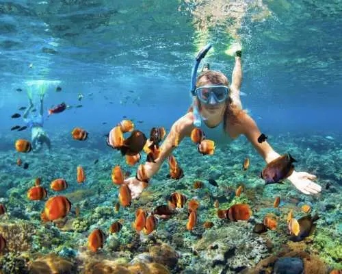 Nusa Penida: Snorkeling 2 Spot Manta Point