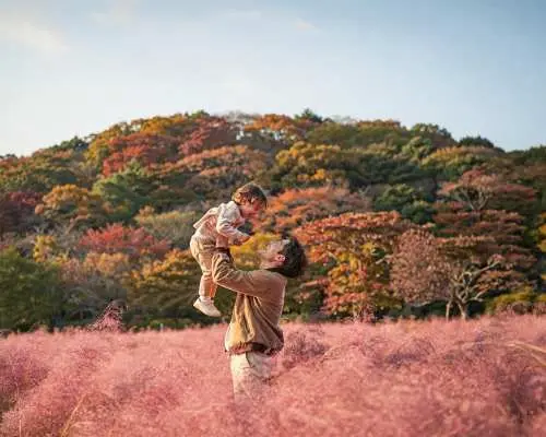 Pocheon One Day Tour ｜Seasonal Hot Attractions ｜Depart from Seoul