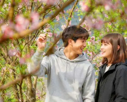 Tour Seoraksan một ngày từ Seoul + Đảo Nami / Hoa anh đào / Hoa mùa thu / Thung lũng băng Eobi