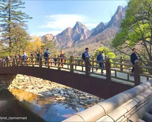 Tour Seoraksan một ngày từ Seoul + Đảo Nami / Hoa anh đào / Hoa mùa thu / Thung lũng băng Eobi