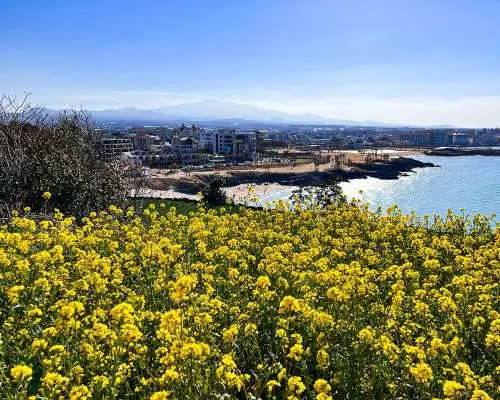 Jeju Eastern UNESCO Sites Tour: Must-Visit Seongsan & Cave & Folk village & Haenyeo  | South Korea