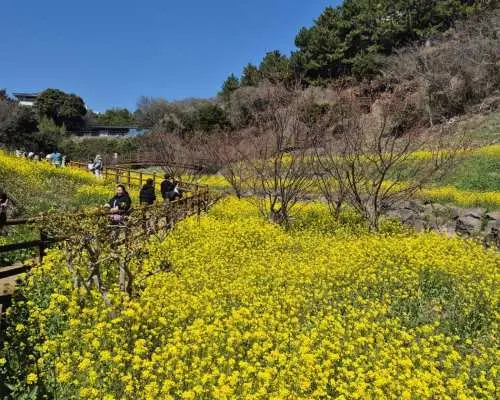 济州岛西部＋南部热门景点一日游｜经典行程推荐＋拍照打卡必访地