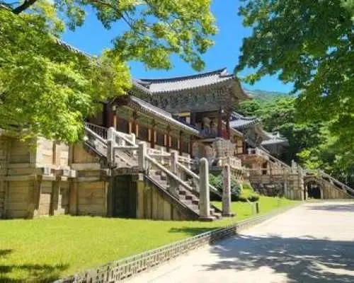 從釜山出發的慶州聯合國教科文組織原汁原味之旅