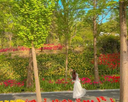 [อาซานที่ถ่ายรูปสวยลงอินสตาแกรมได้] สวรรค์แห่งดอกไม้และหมู่บ้านนางฟ้าอายุ 500 ปี