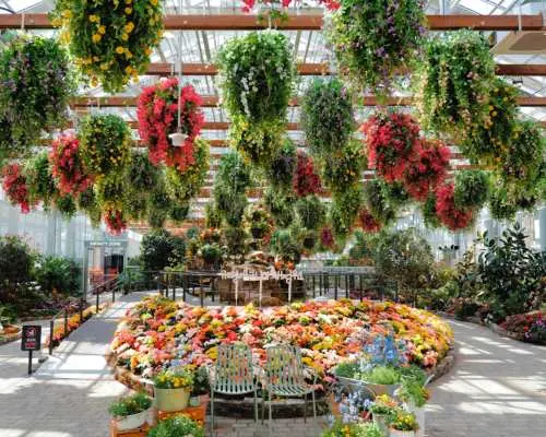 [Instagrammable] Alpaca World, Begonia Garden & Riverside Photo Tour