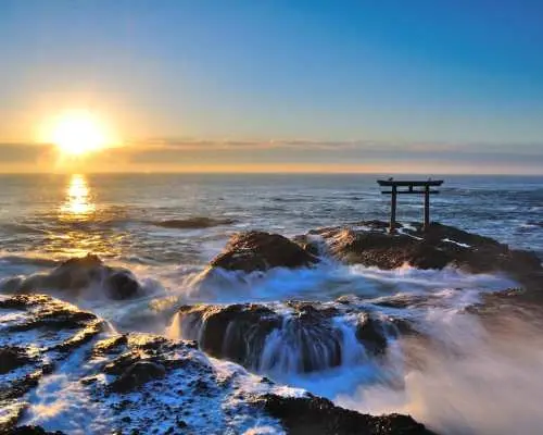 【東京水戶賞花一日遊】｜國營常陸海濱公園粉蝶花海×大洗磯前神社×那珂湊漁港｜新宿出發