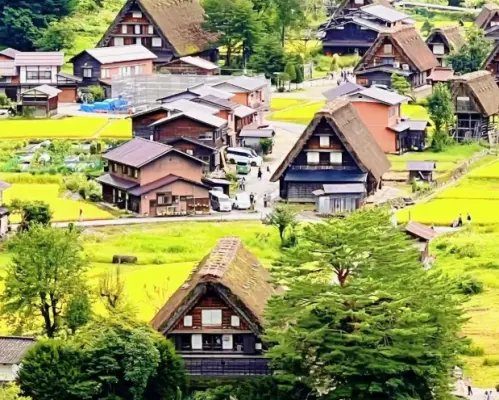 大阪/名古屋出发｜白川乡合掌村一日包车（10 小时）｜世界遗产秘境之旅