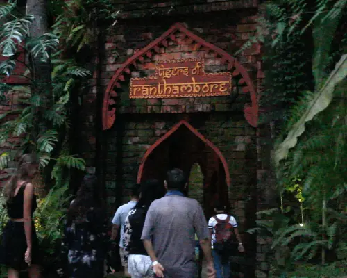Chuyến phiêu lưu Safari đêm Bali kèm bữa tối - Trải nghiệm động vật hoang dã độc đáo | Khởi hành từ Bali